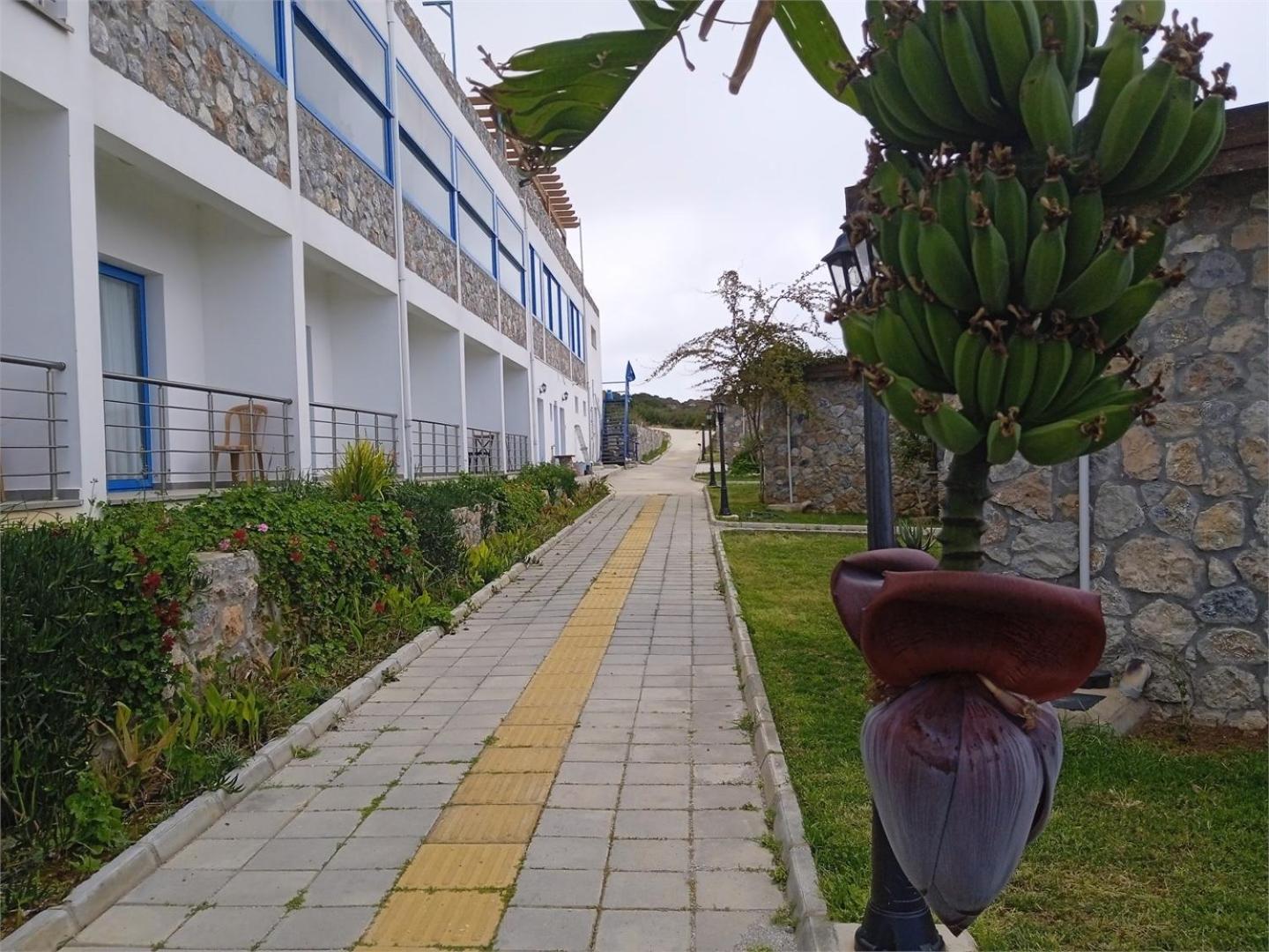 Ardic Agaci Holiday Village Фамагуста Экстерьер фото